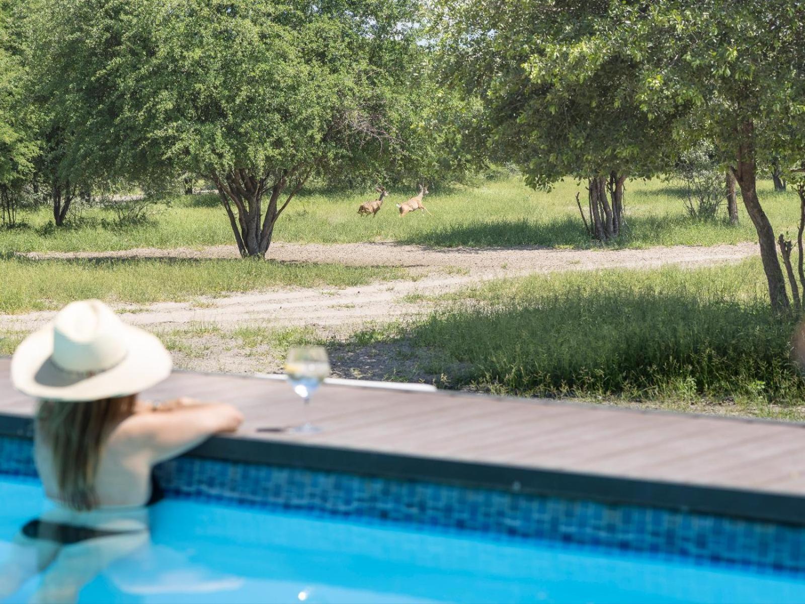 Leopard Plains Vila Motopi Exterior foto